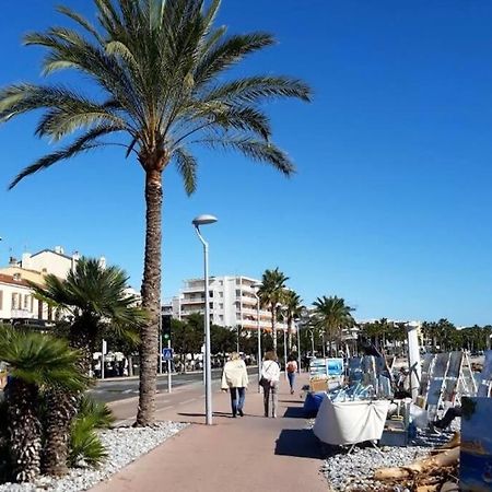 Studio Cosy Terrasse Front Mer Cagnes-sur-Mer Eksteriør billede